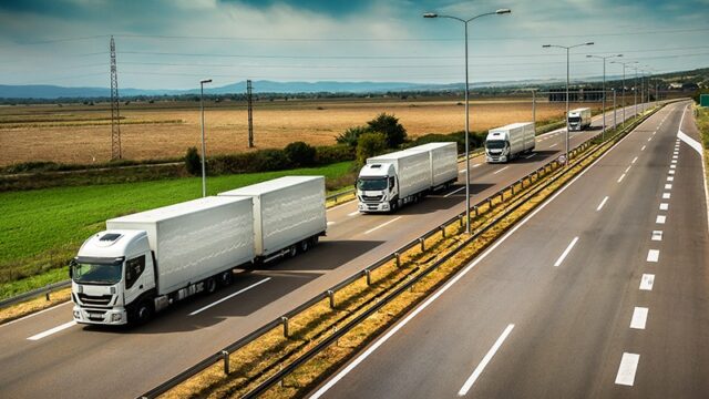 lucru-in-strainatate-sofer