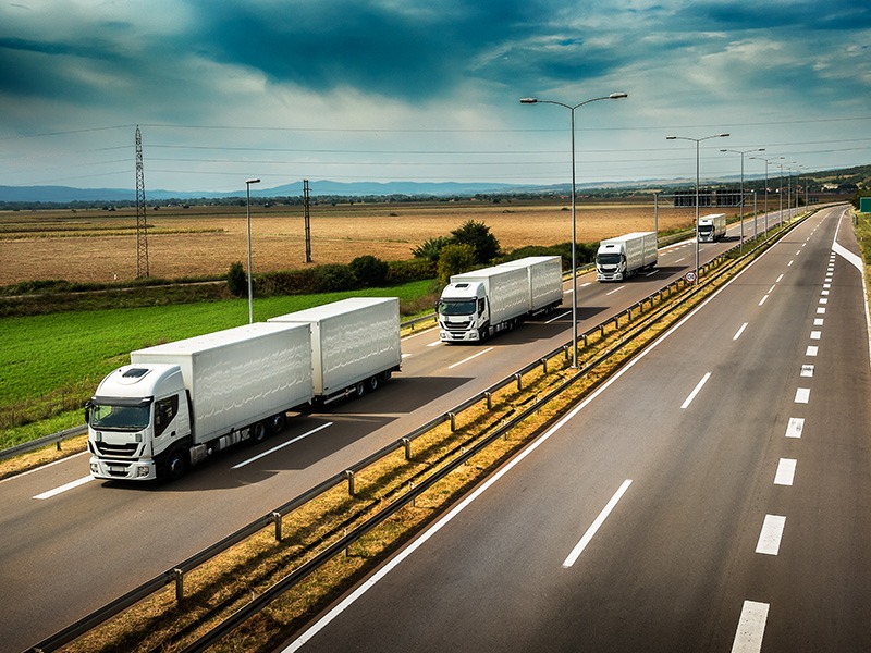 lucru-in-strainatate-sofer